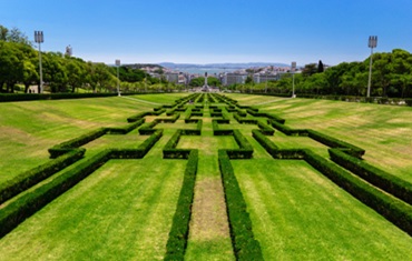 Jardim com sebe em volta
