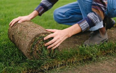 Instalação de relva natural em rolo sobre terreno preparado