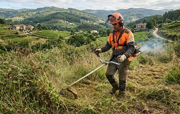 Roçagem de terrenos e corte de vegetação no Minho