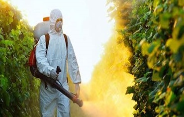 Tratamento fitossanitário em espaços verdes comerciais